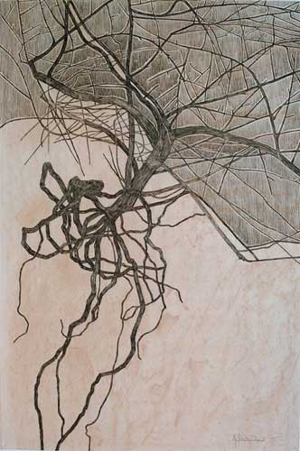 From Series  Roots